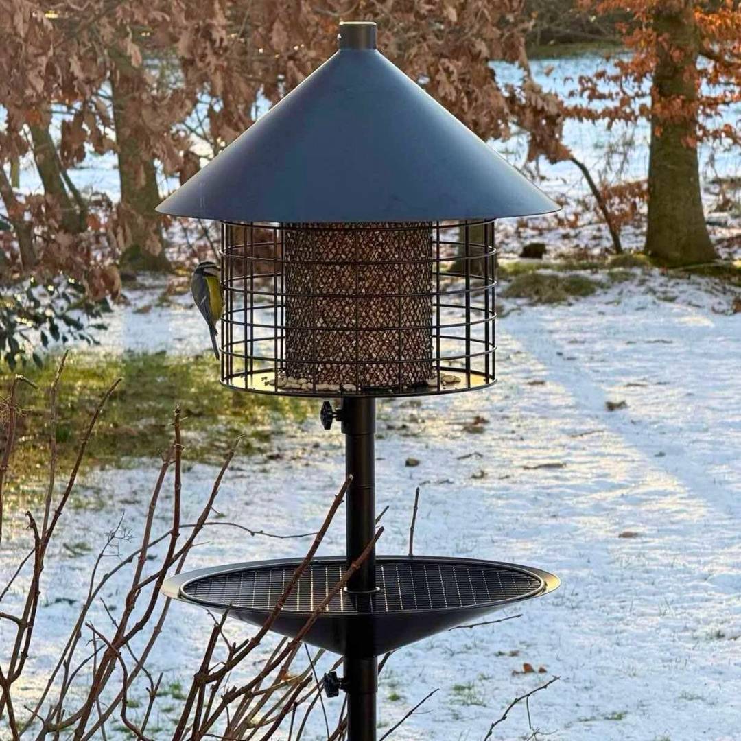 Sortenaeb – Mélange de graines premium pour oiseaux sauvages