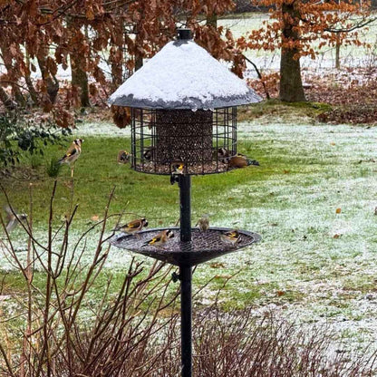 Sortenaeb – Mélange de graines premium pour oiseaux sauvages