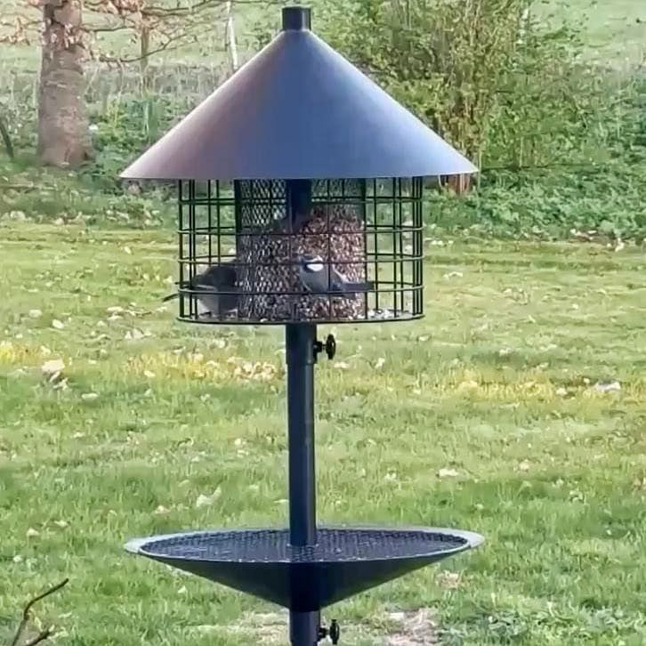 Sortenaeb – Mélange de graines premium pour oiseaux sauvages