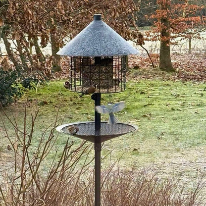 Mangeoire à oiseaux anti-rats