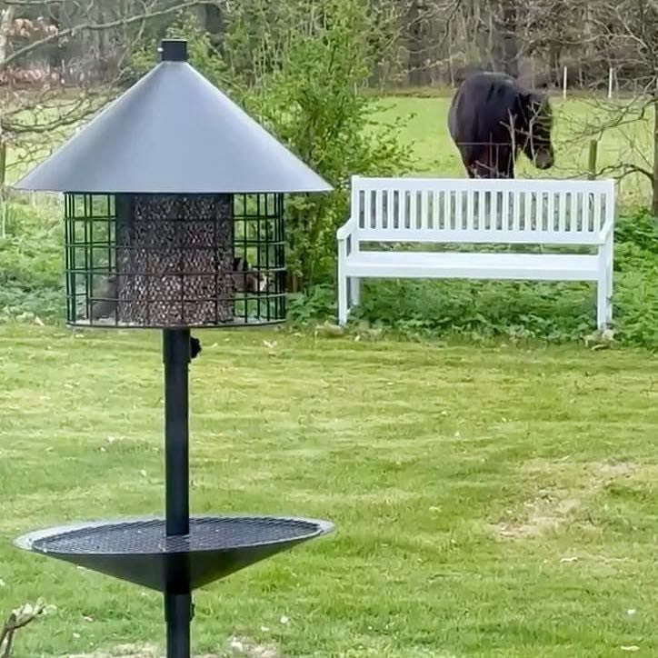 Sortenaeb – Mélange de graines premium pour oiseaux sauvages