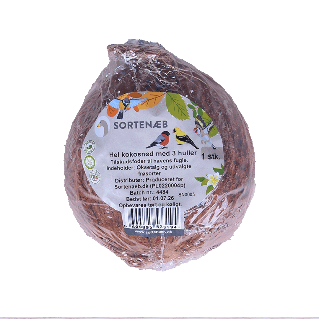Sortenaeb – Noix de coco entière à 3 ouvertures, 350 g