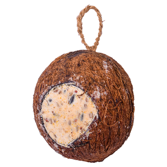 Sortenaeb – Noix de coco entière à 3 ouvertures, 350 g