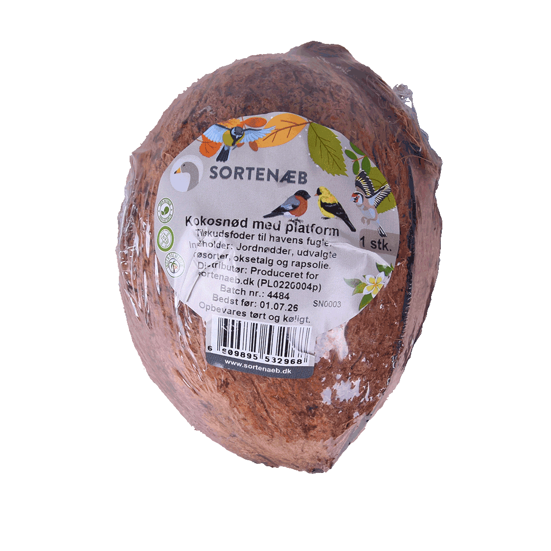 Sortenaeb – Noix de coco avec plateforme pour oiseaux