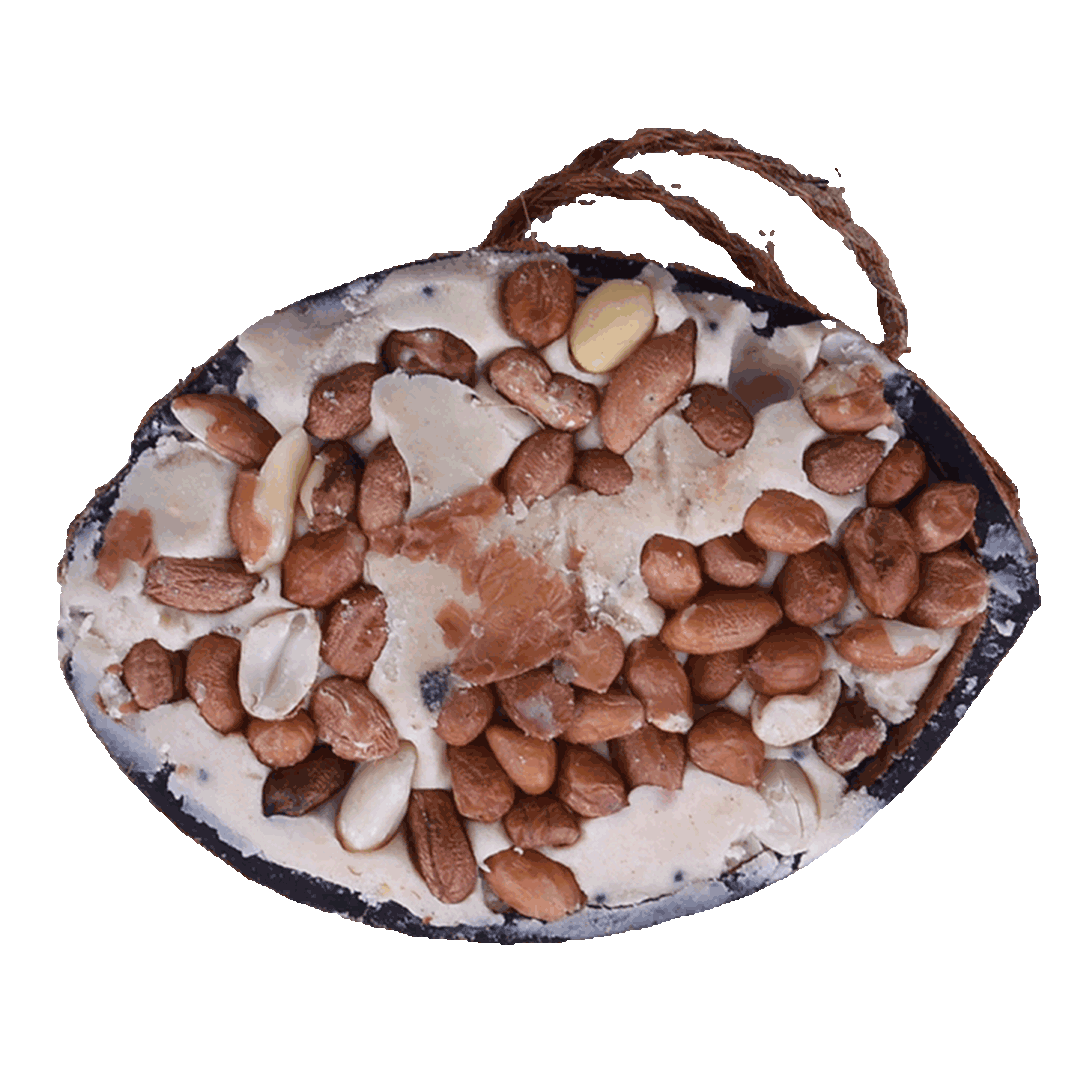 Sortenaeb – Demi-noix de coco avec garniture, assortiment – à l’unité