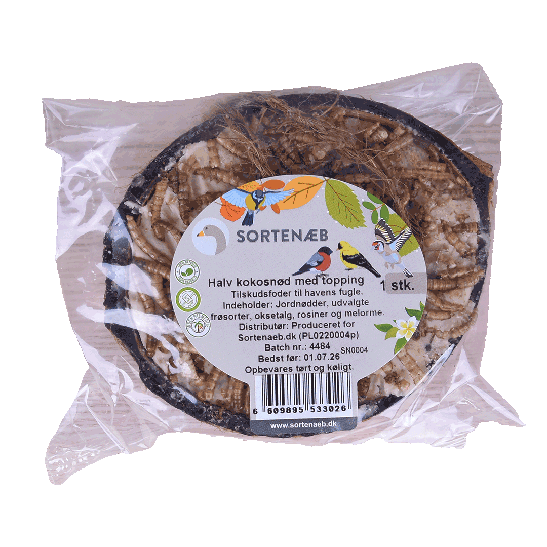 Sortenaeb – Demi-noix de coco avec garniture, assortiment – à l’unité