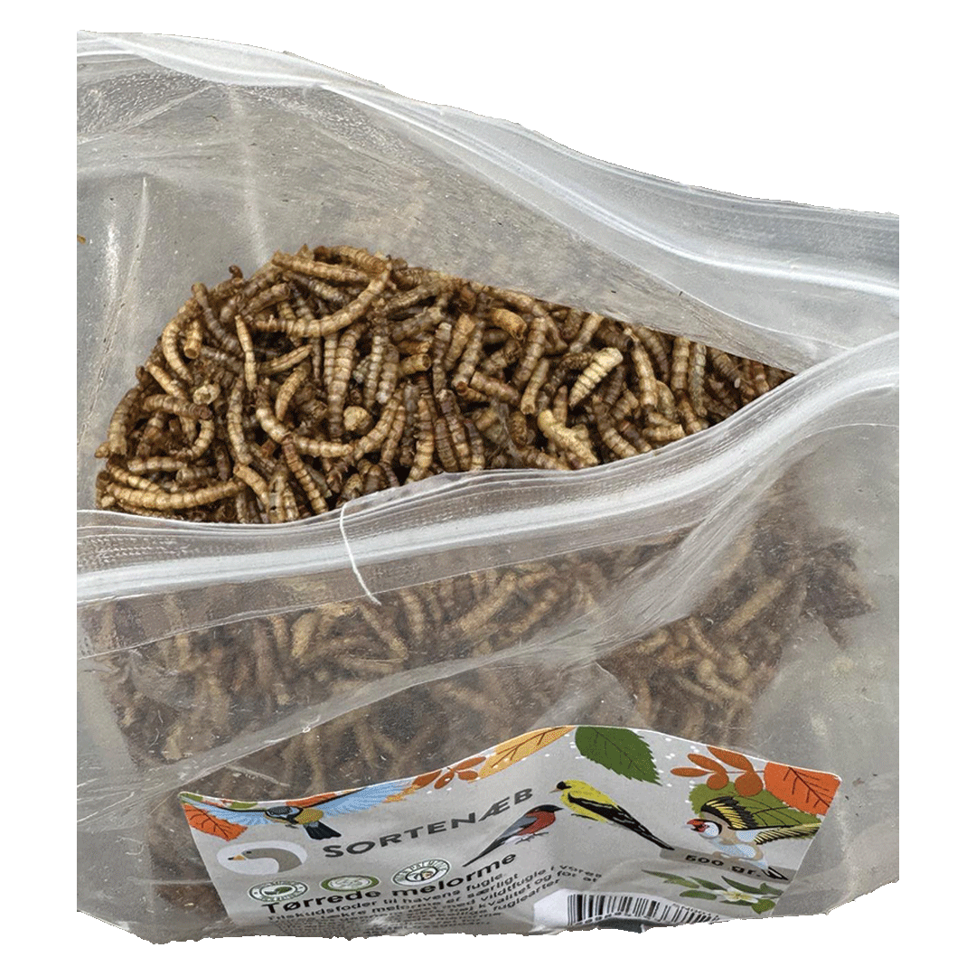 Sortenaeb – Vers de farine séchés, 0,5 kg